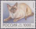 Colnect-1830-115-Siamese-Sealpoint-Felis-silvestris-catus.jpg