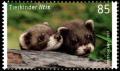 Colnect-5205-837-European-Polecat-Mustela-putorius.jpg