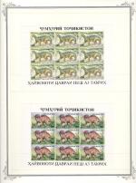 WSA-Tajikistan-Postage-1994-6.jpg