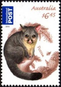 Colnect-6300-445-Brush-tailed-Possum-Trichosurus-vulpecula.jpg