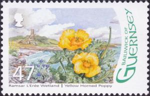 Colnect-4047-841-Yellow-Poppy---Glaucium-flavum.jpg