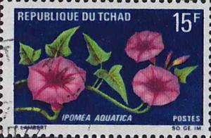 Colnect-504-068-Lpomoea-aquatica.jpg