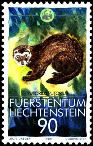 Colnect-5445-164-European-Polecat-Mustela-putorius.jpg