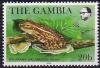 Colnect-1289-322-Galam-White-lipped-Frog-Hylarana-galamensis.jpg