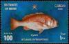 Colnect-1899-635-Crimson-Snapper-Lutjanus-erythropterus.jpg