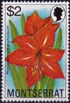 Colnect-3924-343-Hippeastrum-puniceum.jpg