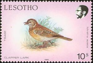 Colnect-1725-552-Cape-Clapper-Lark-Mirafra-apiata.jpg