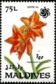 Colnect-3498-383-Hippeastrum-puniceum.jpg