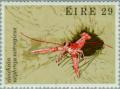 Colnect-128-675-Dublin-Bay-Prawn-Nephrops-norvegicus.jpg