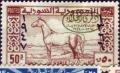 Colnect-1481-440-Overprint-on-Arab-Horse.jpg