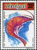 Colnect-2133-445-Giant-Prawn-Penaeus-monodon.jpg