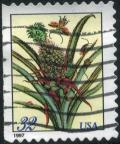 Colnect-3609-449-Merian-Print-Pineapple---Small.jpg