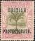 Colnect-2788-310-Sago-palm-overprinted--BRITISH-PROTECTORATE-.jpg