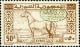 Colnect-1481-432-Overprint-on-Arab-Horse.jpg