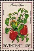 Colnect-3999-687-Capsicum-frutescens.jpg