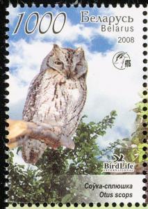 Colnect-857-429-Scops-Owl-Otus-scops.jpg