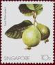 Colnect-1720-971-Psidium-guajava.jpg