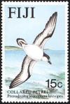 Colnect-1595-841-Collared-Petrel-Pterodroma-leucoptera-brevipes-.jpg