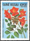 Colnect-1167-356-African-tuliptree-Spathodea-campanulata.jpg