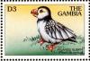 Colnect-3505-632-Atlantic-Puffin-Fratercula-arctica.jpg