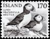 Colnect-4551-973-Atlantic-Puffin-Fratercula-arctica.jpg