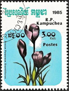 Colnect-4814-753-Crocus-Purpureus-Grandiflorus.jpg