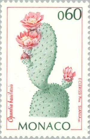 Colnect-149-728-Opuntia-basilaris.jpg