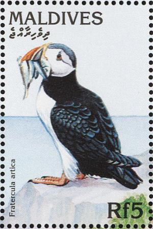 Colnect-1631-949-Atlantic-Puffin-Fratercula-arctica.jpg