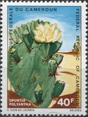 Colnect-2155-538-Opuntia-polyantha.jpg