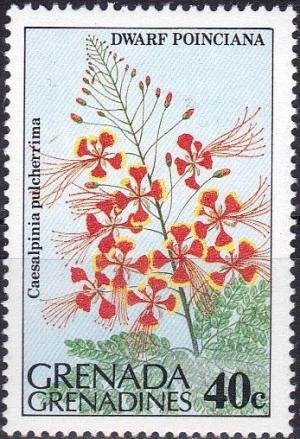 Colnect-3795-685-Caesalpinia-pulcherrima-Dwarf-poinciana.jpg