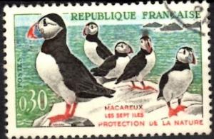 Colnect-4011-753-Atlantic-Puffin-Fratercula-arctica.jpg