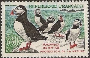 Colnect-4012-771-Atlantic-Puffin-Fratercula-arctica.jpg