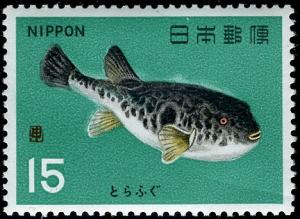 Colnect-4861-929-Tiger-Puffer-Fugu-rubripes-.jpg