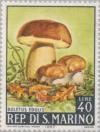 Colnect-171-556-Cep-Boletus-edulis.jpg