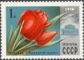 Colnect-2809-632-Tulip--Bolshoi-Theatre-.jpg