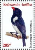 Colnect-3933-733-Red-billed-Pied-Tanager-nbsp--nbsp--nbsp--nbsp-Lamprospiza-melanoleuca.jpg