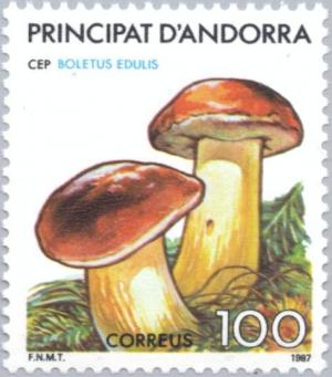 Colnect-142-612-Cep-Boletus-edulis.jpg