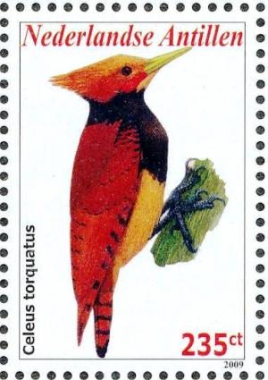 Colnect-3933-732-Ringed-Woodpecker-nbsp--nbsp--nbsp--nbsp-Celeus-torquatus.jpg