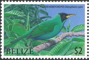 Colnect-4027-751-Green-Honeycreeper-nbsp--nbsp--nbsp--nbsp-Chlorophanes-spiza.jpg