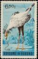 Colnect-1156-599-Secretarybird-nbsp--nbsp-Sagittarius-serpentarius.jpg