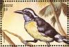 Colnect-1646-490-Bananaquit-Coereba-flaveola.jpg