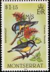 Colnect-1785-082-Bananaquit-Coereba-flaveola.jpg