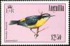 Colnect-579-185-Bananaquit-Coereba-flaveola.jpg