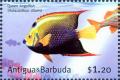 Colnect-3929-734-Queen-angelfish.jpg