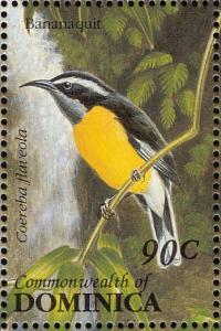 Colnect-1748-065-Bananaquit-Coereba-flaveola.jpg