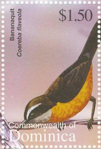 Colnect-5250-548-Bananaquit-Coereba-flaveola.jpg