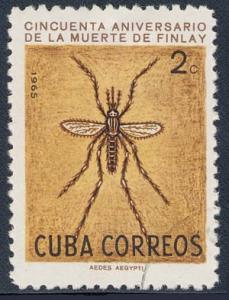 Skap-cuba_05_mosquito_989-995_c.jpg