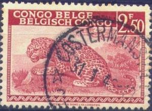 Colnect-1079-243-Leopard---inscribed--quot-Congo-Belge-Belgisch-Congo-quot-.jpg