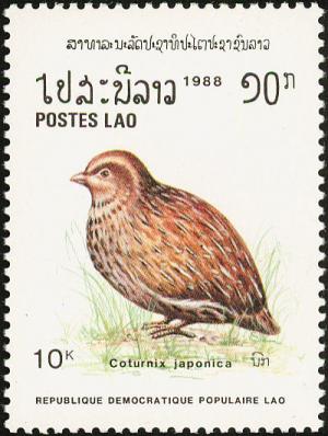 Colnect-1614-671-Japanese-Quail-Colturnix-japonica.jpg