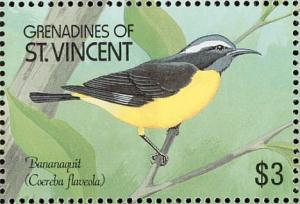 Colnect-1753-973-Bananaquit-Coereba-flaveola.jpg